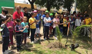 Participan alumnos de Colegio Hikma en segunda etapa de reforestación de camellón